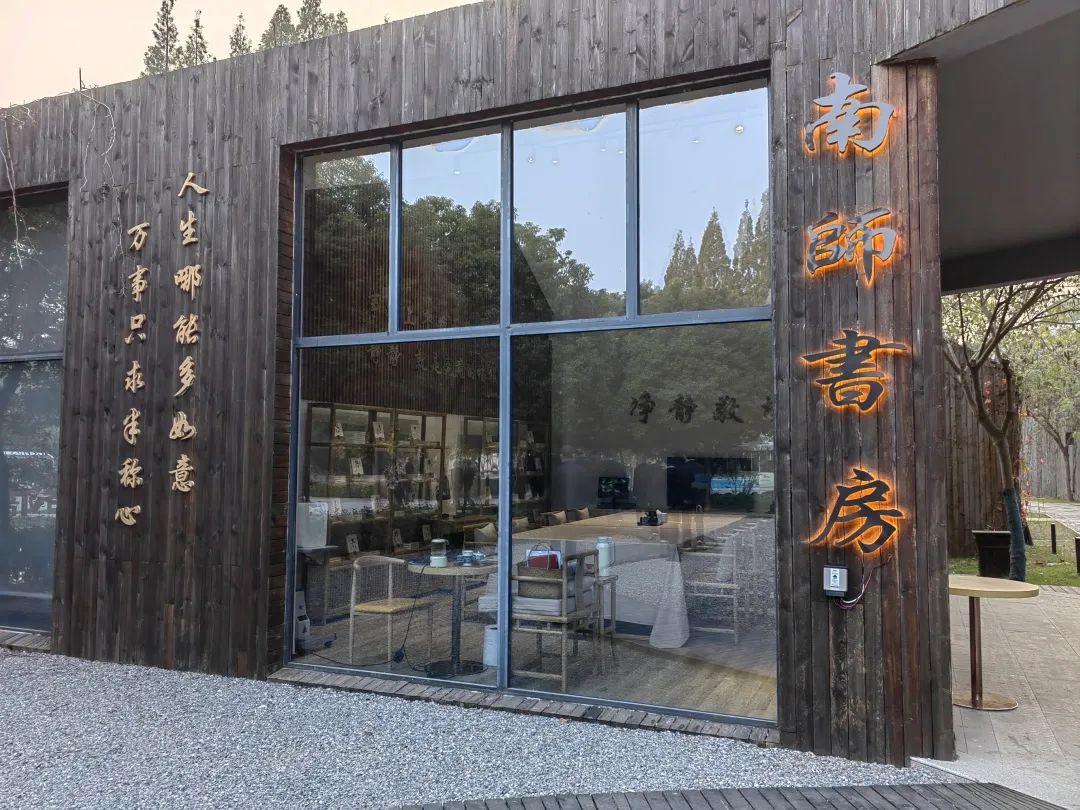 水上森林杉树黄了