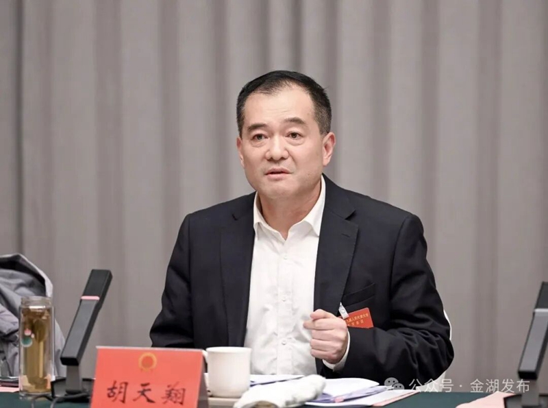 金湖代表团审议市人大及两院工作报告